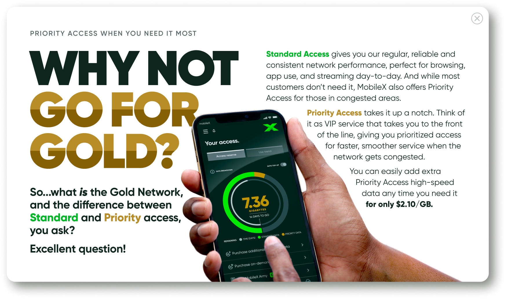 The Gold Network